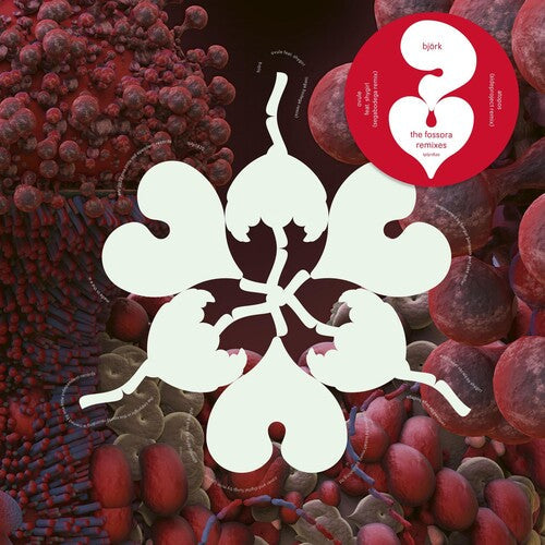 Bjork: Fossora Remixes - Record