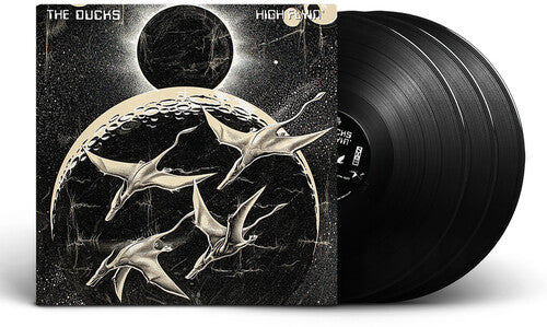 Ducks: High Flyin - VINYL