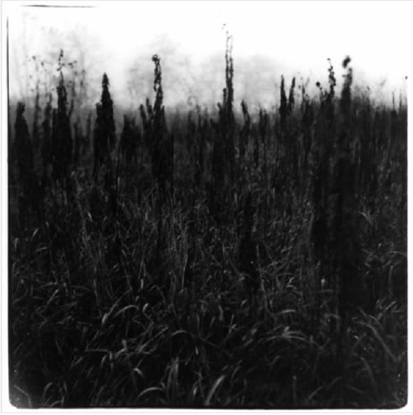 Bennet, David / Bromander, Vilhelm: Within Reach Of Eventuality - Record