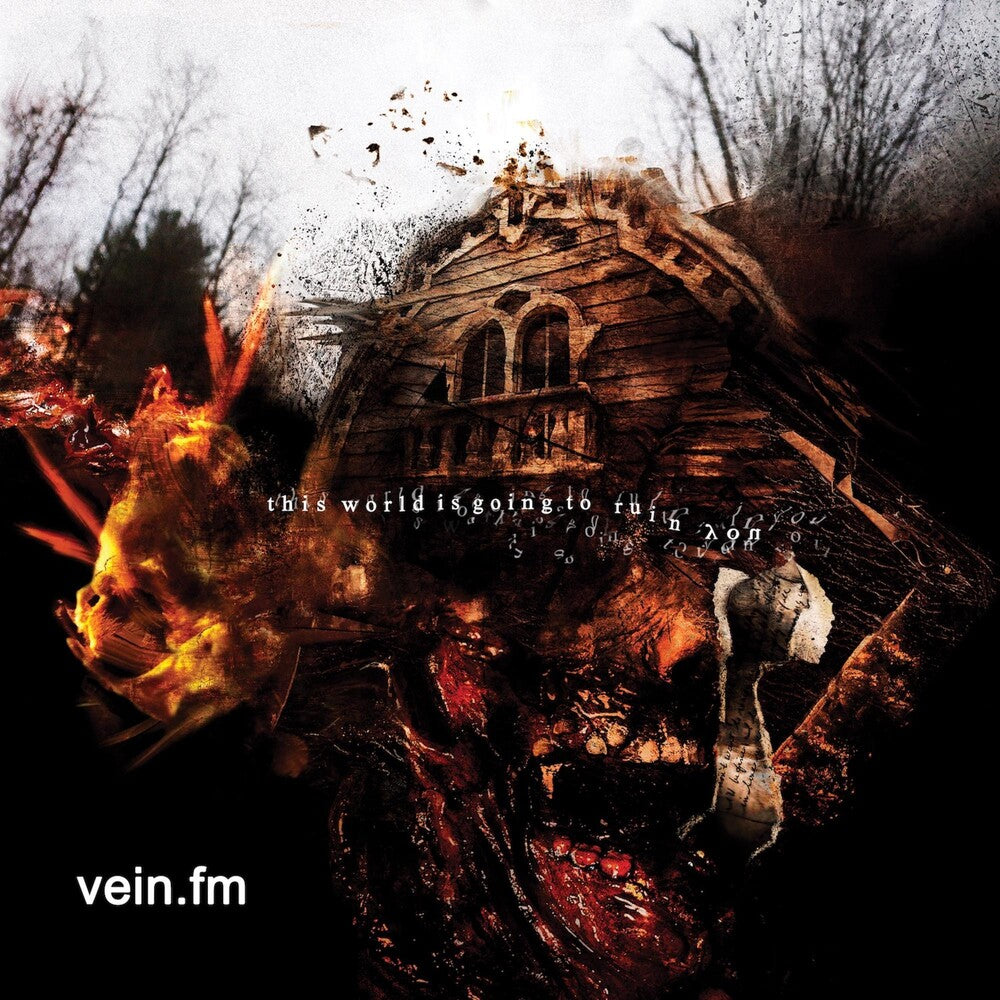 Vein.Fm- This World Is Going To Ruin You { VINYL LP }