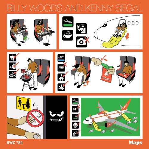 Billy Woods: Maps - Record