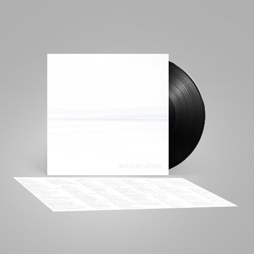 Foo Fighters: But Here We Are (Black Vinyl) - VINYL