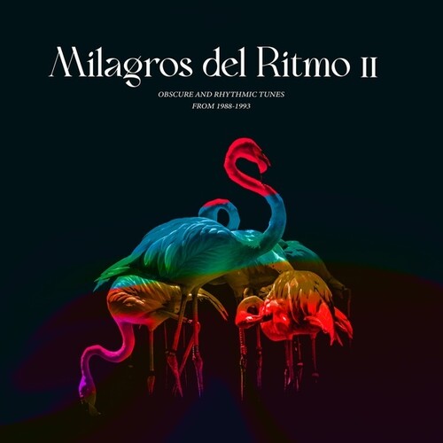 Jose Manuel: Milagros Del Ritmo II: Obscure And Rhythmic Tunes from 1988-1993 - Record