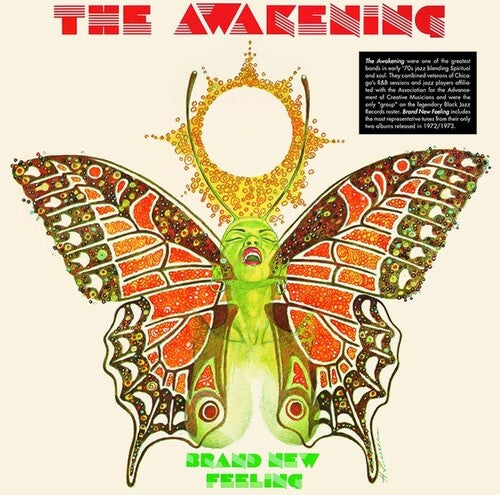 The Awakening: Brand New Feeling - VINYL