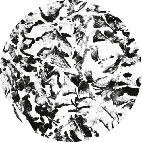 Mathimidori: Anata - 12-INCH SINGLE