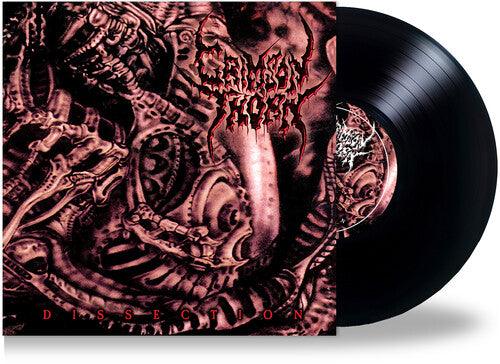 Crimson Thorn- Dissection { VINYL LP }