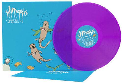 J Mascis (Dinosaur Jr.)- What Do We Do Now { VINYL LP }