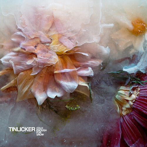 Tinlicker: Cold Enough For Snow - Record