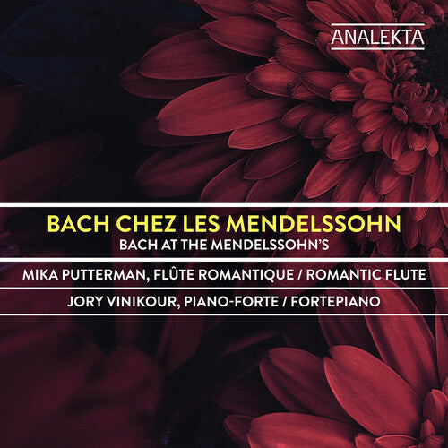 Putterman Vinikour: Bach Chez Les Mendelssohn - Record