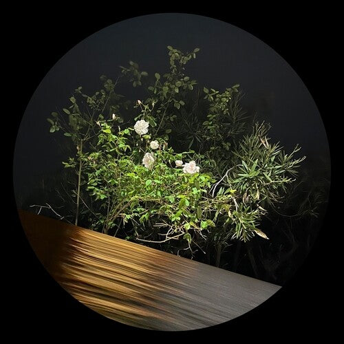 La Desh, Ben: Fine Rise - 12-INCH SINGLE