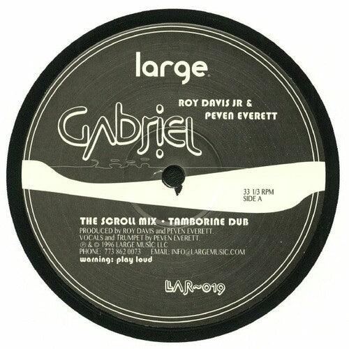 Roy Davis Jr- Gabriel { VINYL LP }