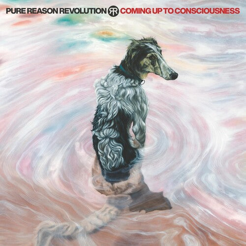 Pure Reason Revolution: Coming Up To Consciousness - CD