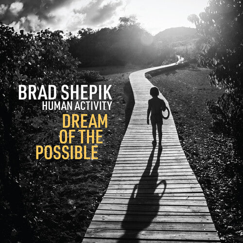 Brad Shepik: Human Activity: Dream of the Possible - CD