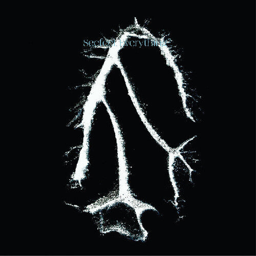 Seefeel: Everything Squared - Record