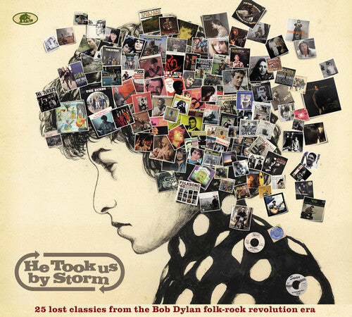 Various Artists: He Took Us By Storm: 25 Lost Classics From Bob Dylan Folk-Rock / Var - Record