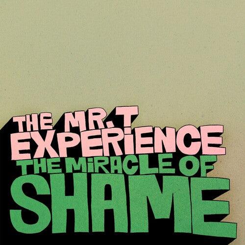 Mr T Experience- Miracle Of Shame { VINYL LP }