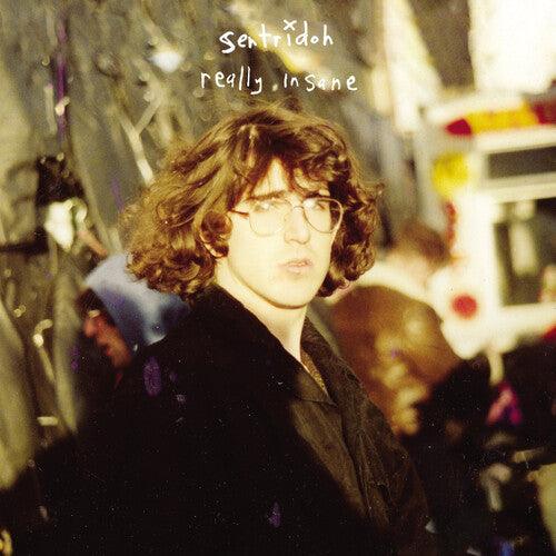 Sentridoh- Really Insane : A Lou Barlow Compendium { VINYL LP }