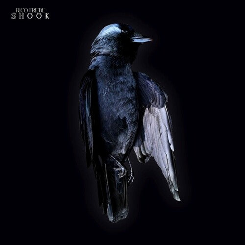 Rico Friebe: Shook - Record