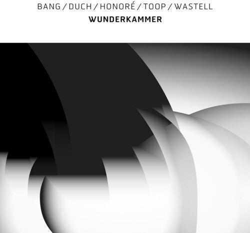 Bang / Duch / Honoré / Toop / Wastell: Wunderkammer - Record