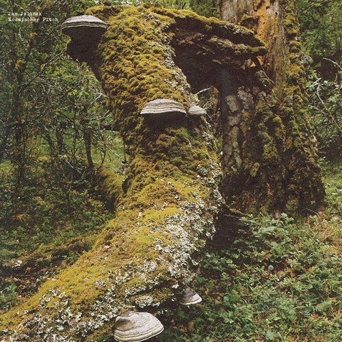 Jan Jelinek- Kosmischer Pitch { VINYL LP }