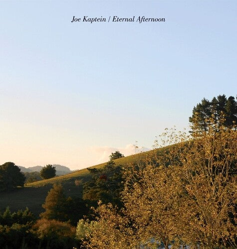 Joe Kaptein- Eternal Afternoons { VINYL LP }