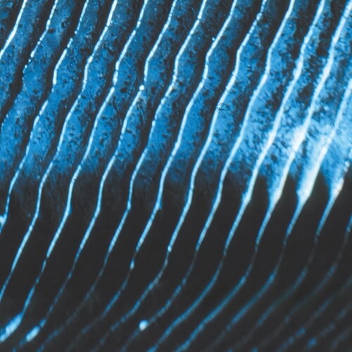 Monolake: Gravity - Record