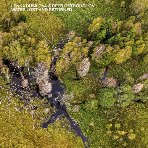 Petr Ostrouchov: Water Lost & Returned - Record