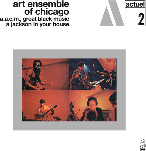 The Art Ensemble of Chicago: A Jackson In Your House - VINYL