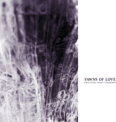 Fawns of Love- Who Cares About Tomorrow { VINYL LP }