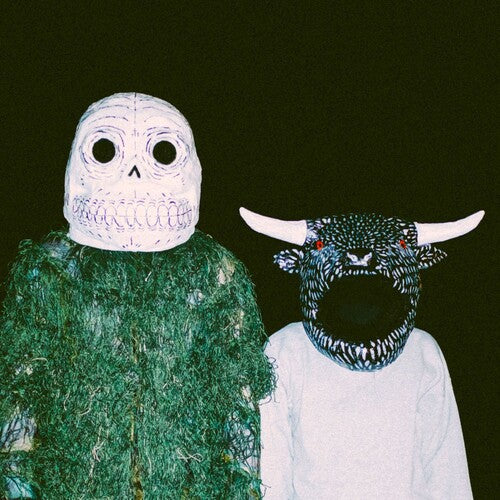 Slow Joy- A Joy So Slow at Times I Don't Think It's Coming { VINYL LP }