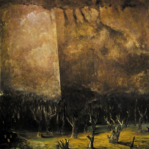 Tenebrae In Perpetuum: Vacuum Coeli - CD