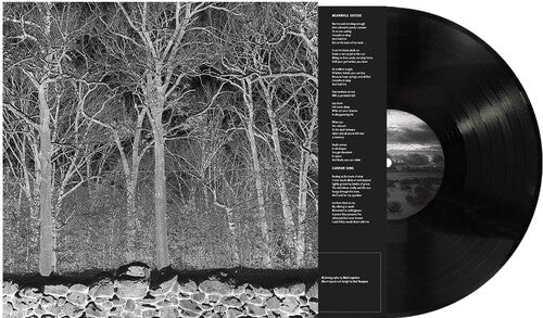 Pile- Sunshine and Balance Beams { VINYL LP }