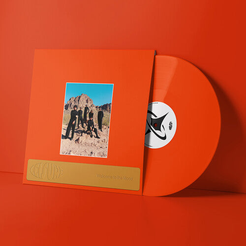 Leisure- Welcome to the Mood { VINYL LP }