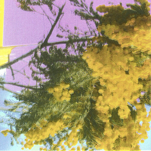 Four Tet- Into Dust (Still Falling) (Indie Exclusive Vinyl) { VINYL LP }
