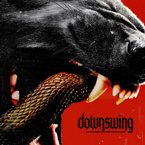 Downswing- And Everything Was Dark { VINYL LP }