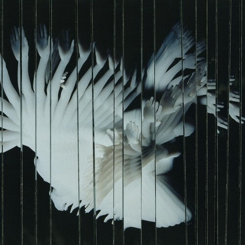 Scaler- Endlessly { VINYL LP }
