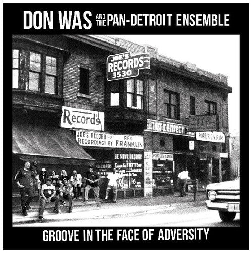 Don Was- Groove In The Face Of Adversity { VINYL LP }