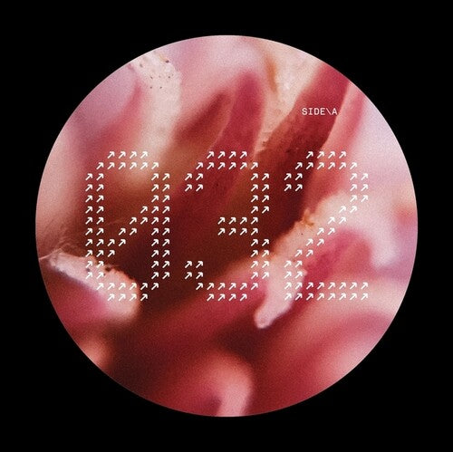 Various Artists: NECH032 - 12-INCH SINGLE