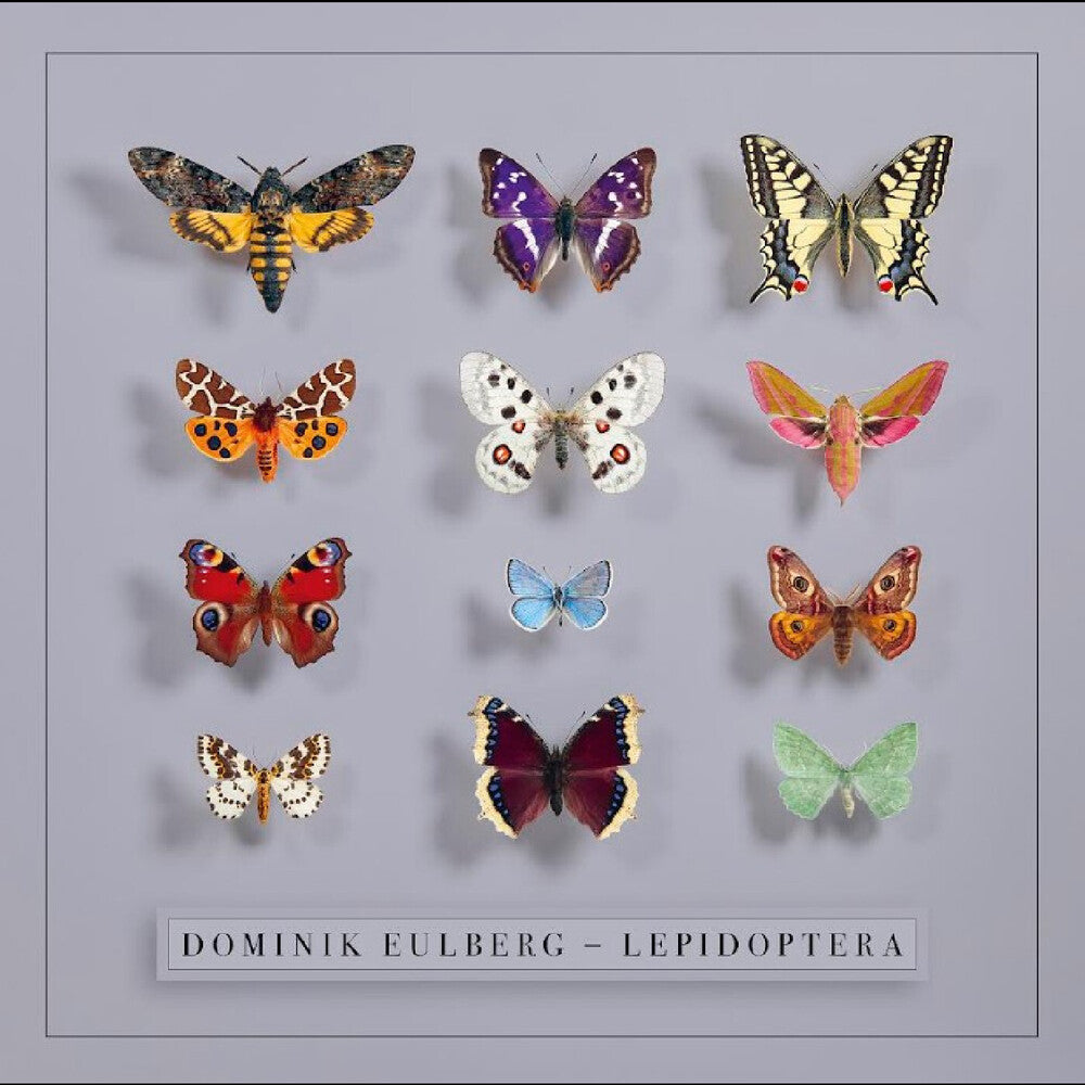 Dominik Eulberg- Lepidoptera (Uk) { VINYL LP }