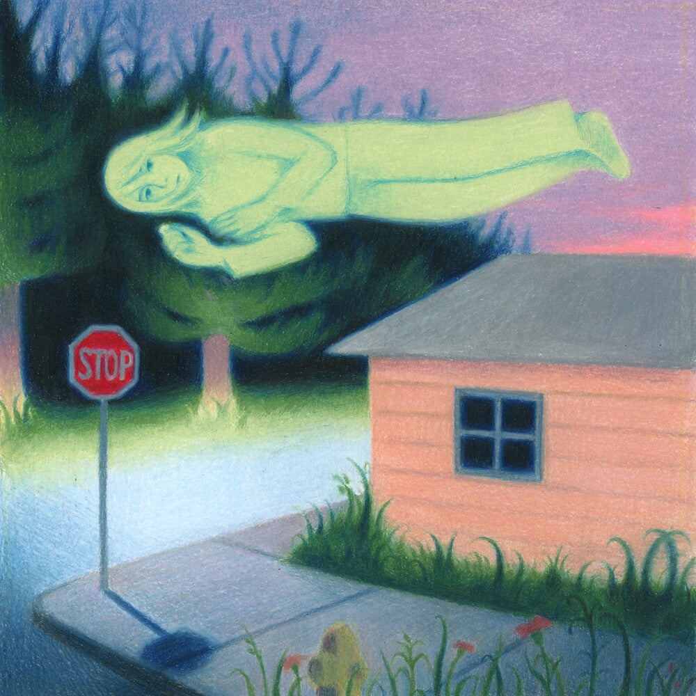 Fanclubwallet- Living While Dying { VINYL LP }