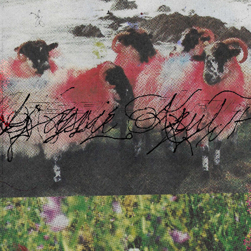Kassie Krut- Kassie Krut { VINYL LP }