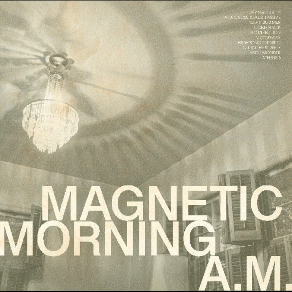 A.M. { VINYL LP }