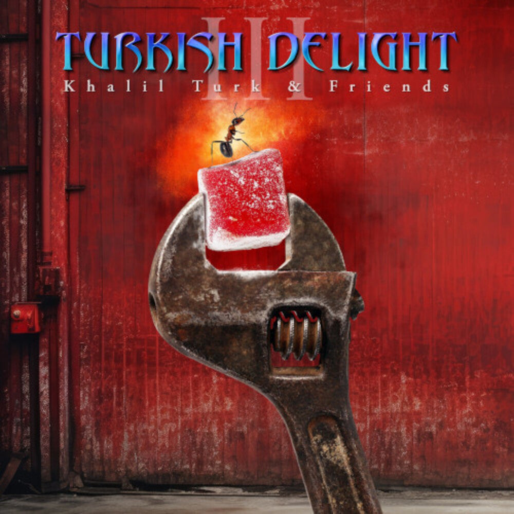 Turkish Delight Volume Three / Various- Turkish Delight Volume Three / Various { VINYL LP }