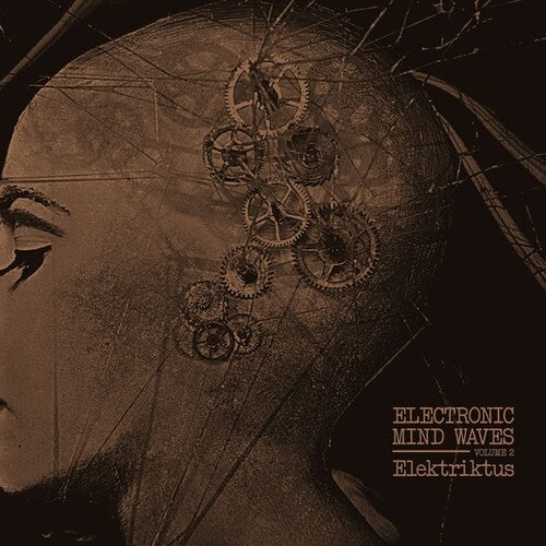 Elektriktus: Electronic Mind Waves, Vol. 2 - Record