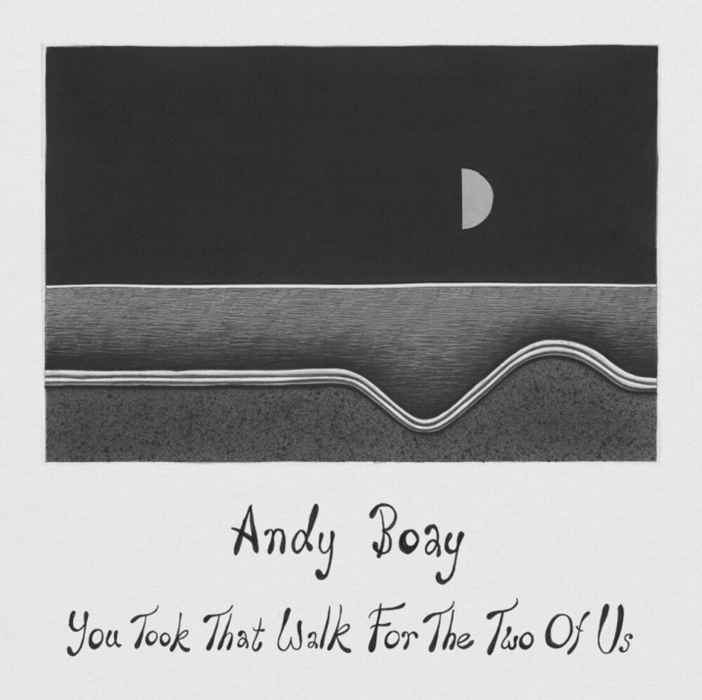 Andy Boay- You Took That Walk For The Two Of Us { VINYL LP }