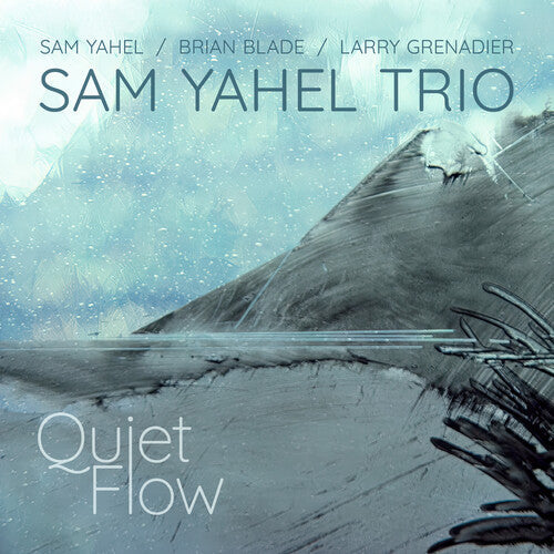 Sam Yahel: Quiet Flow - CD