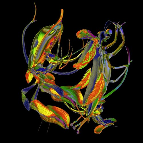 DJ Nobu: Sho - 12-INCH SINGLE