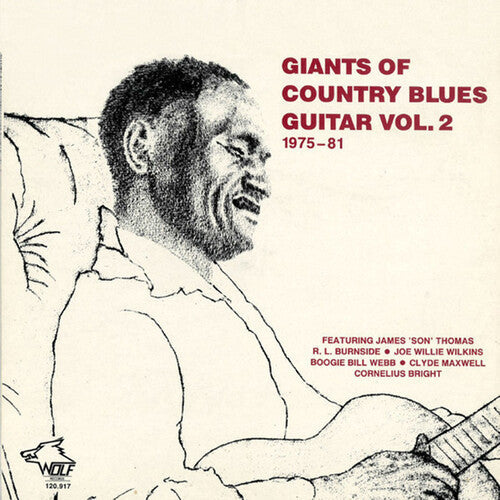 Various Artists: Giants of Country Blues Guitar 2 / Various - Record