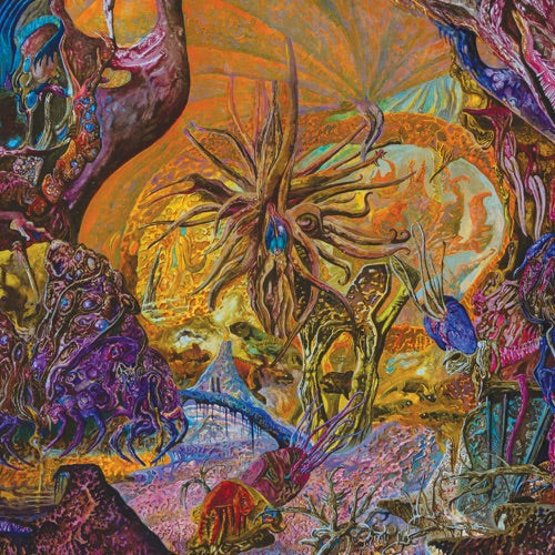 Chytridiomycosis Relinquished - Orange/royal Blue { VINYL LP }