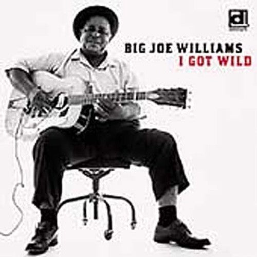 Big Joe Williams: I Got Wild - Record